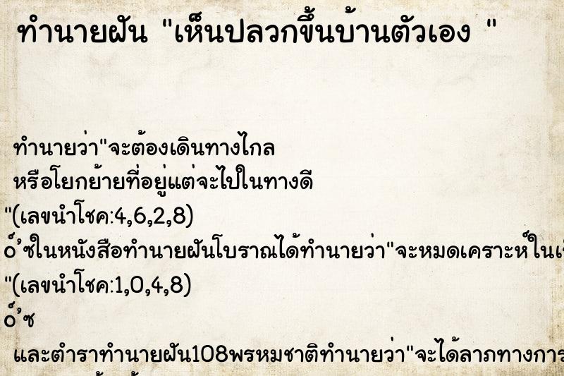 ทำนายฝันทำนายฝันเห็นปลวกขึ้นบ้านตัวเอง